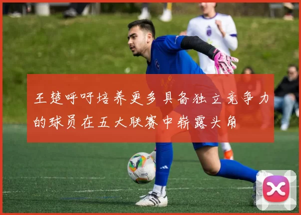 王楚呼吁培养更多具备独立竞争力的球员在五大联赛中崭露头角